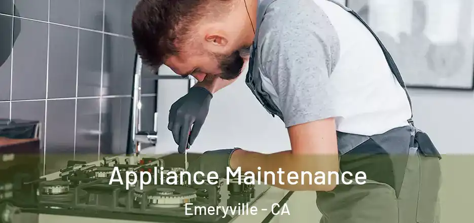  Appliance Maintenance Emeryville - CA