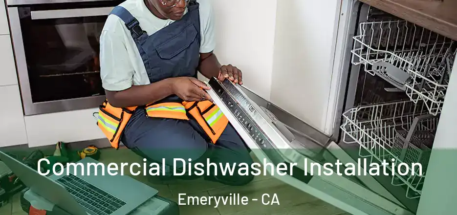 Commercial Dishwasher Installation Emeryville - CA