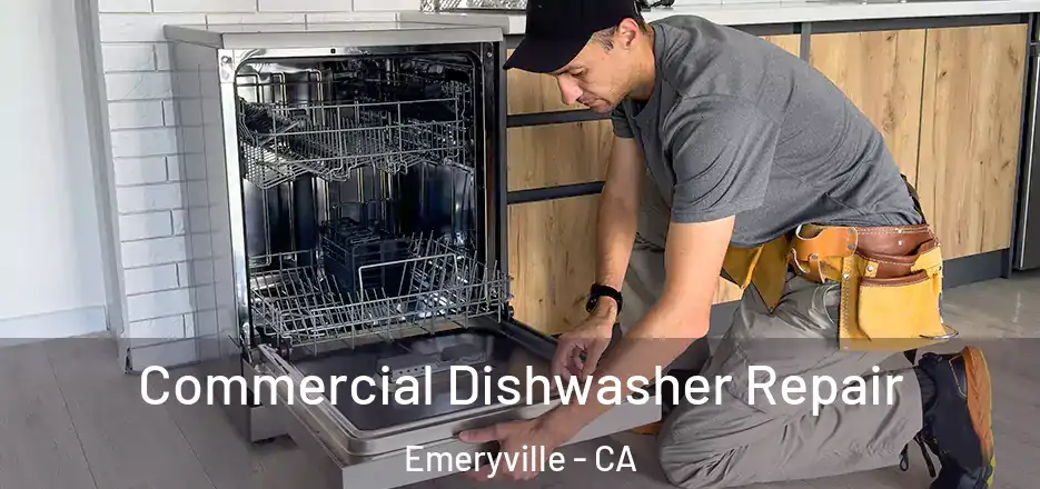  Commercial Dishwasher Repair Emeryville - CA