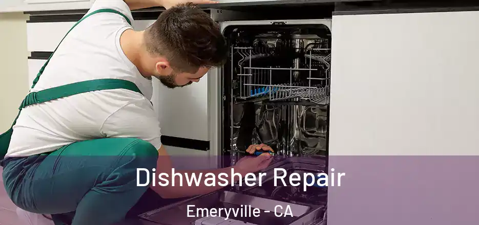 Dishwasher Repair Emeryville - CA