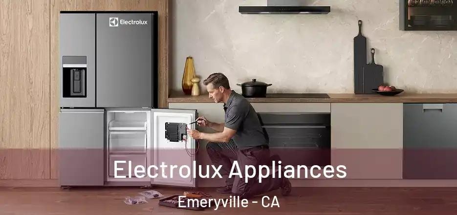  Electrolux Appliances Emeryville - CA