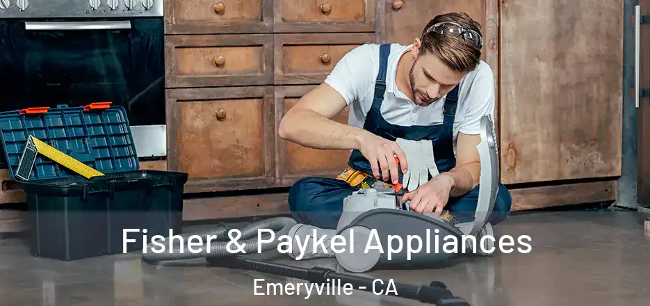  Fisher & Paykel Appliances Emeryville - CA