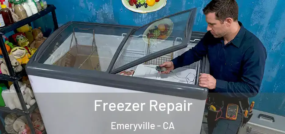Freezer Repair Emeryville - CA