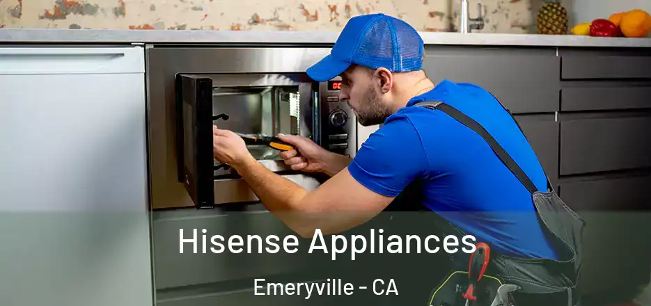  Hisense Appliances Emeryville - CA