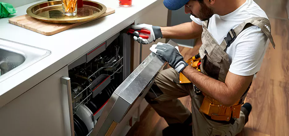Same Day Dishwasher Not Draining Repair in Emeryville