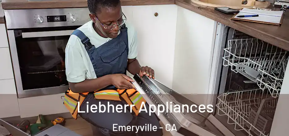  Liebherr Appliances Emeryville - CA