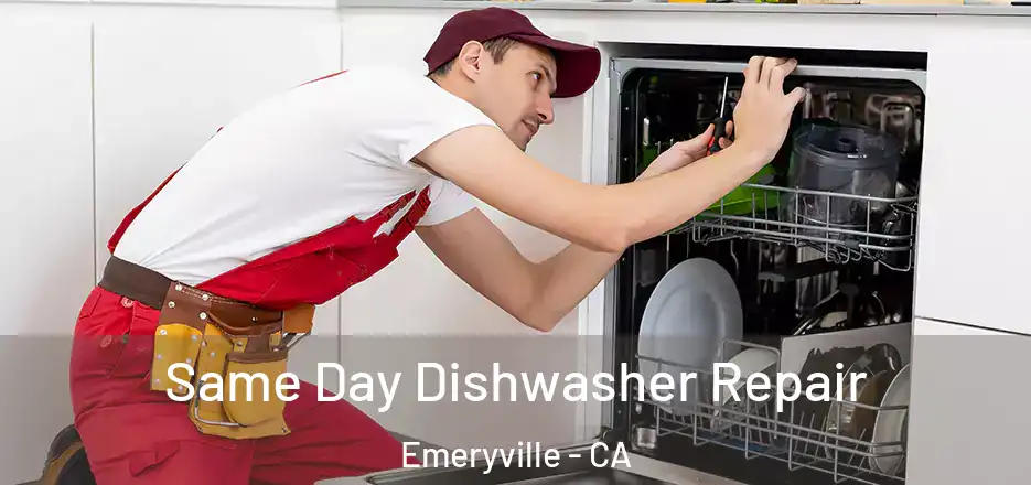  Same Day Dishwasher Repair Emeryville - CA